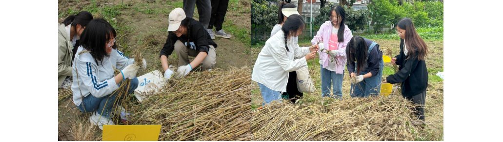 1715822596712812.png image.png