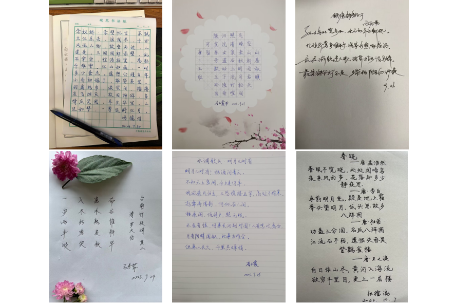 1697709074455026.png image.png