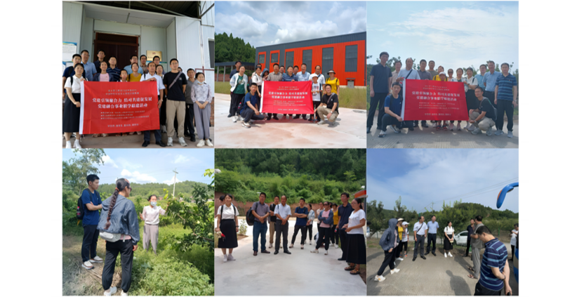 1693444744780083.png image.png