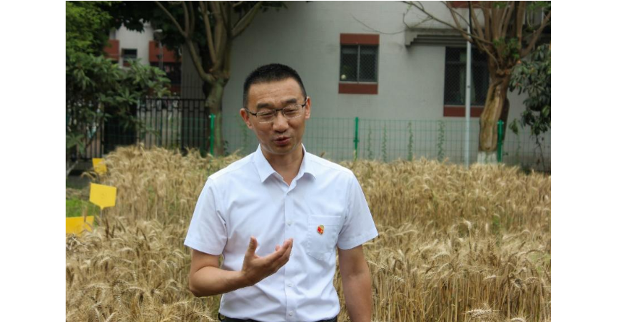 1715828591127933.png image.png