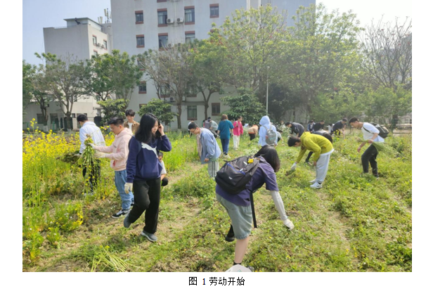 1649646257166350.png image.png