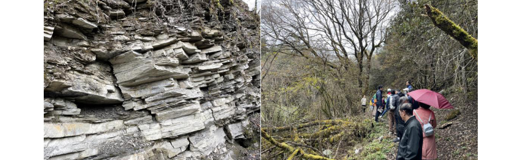 1699421414929375.png image.png